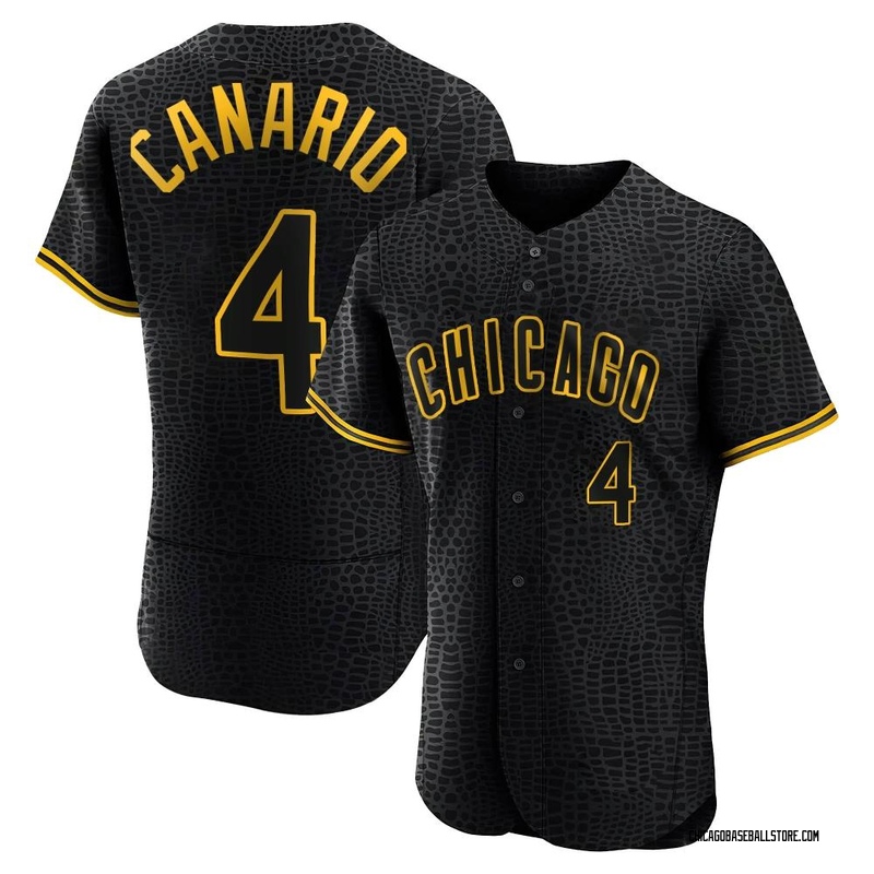 Alexander Canario Chicago Cubs Women's Backer Slim Fit T-Shirt - Ash