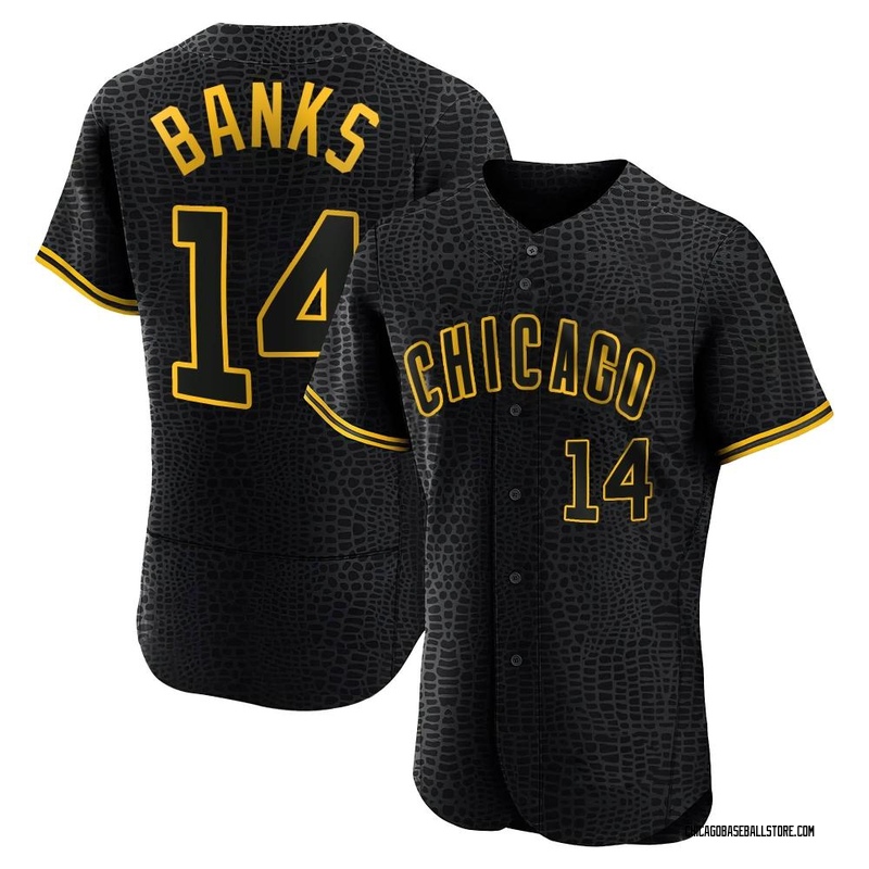 Chicago Cubs #14 Ernie Banks Throwback Jersey – Retro Throwbacks