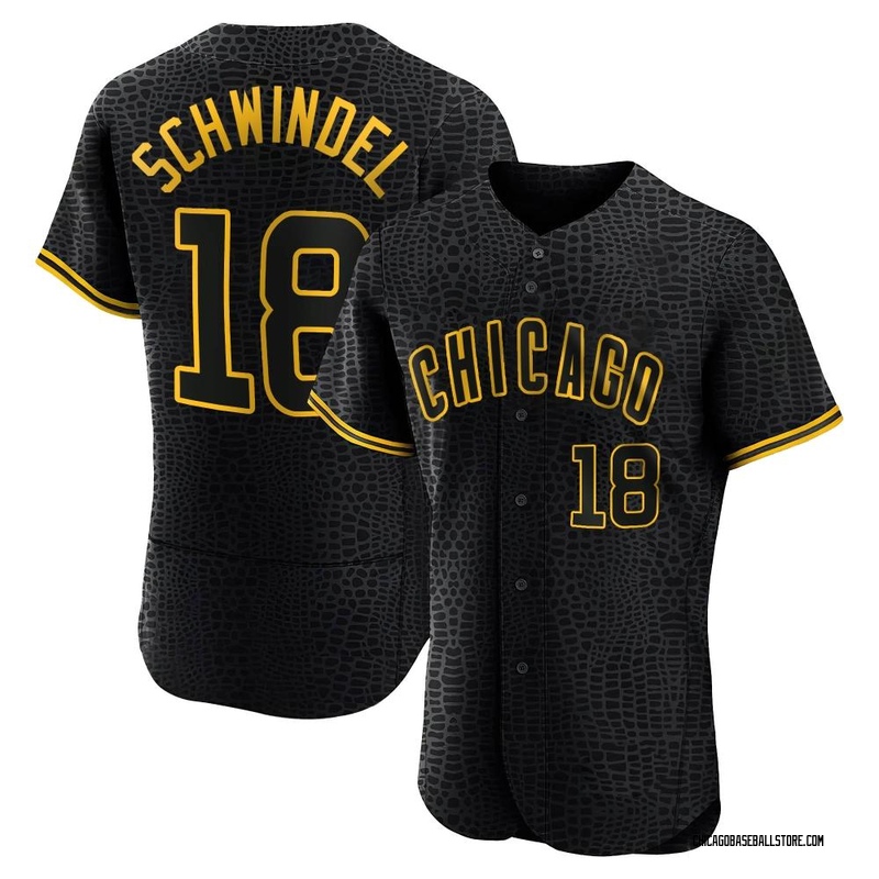 Chicago Cubs Frank Schwindel Patrick Wisdom Schwisdom logo T-shirt