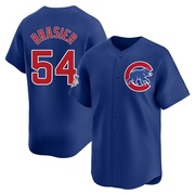 Ryan Brasier Youth Chicago Cubs Alternate Jersey - Royal Limited