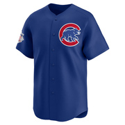 Ryan Brasier Youth Chicago Cubs Alternate Jersey - Royal Limited